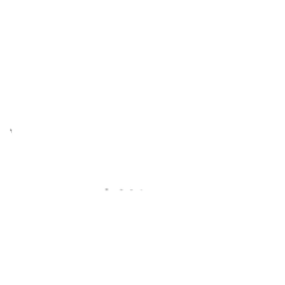 SocialFly Marketing